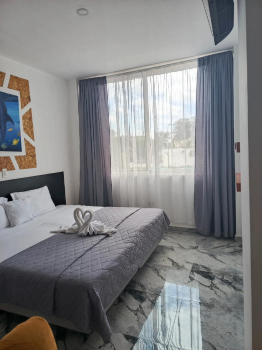 patty house galapagos