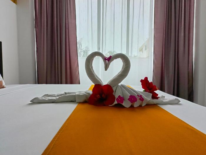 patty house galapagos