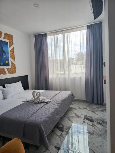 patty house galapagos