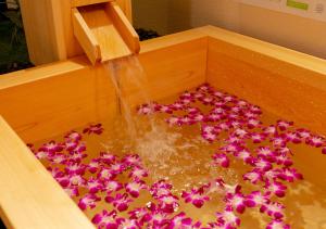 hotel eldia japanese modern