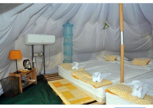 bravo adventure glamping