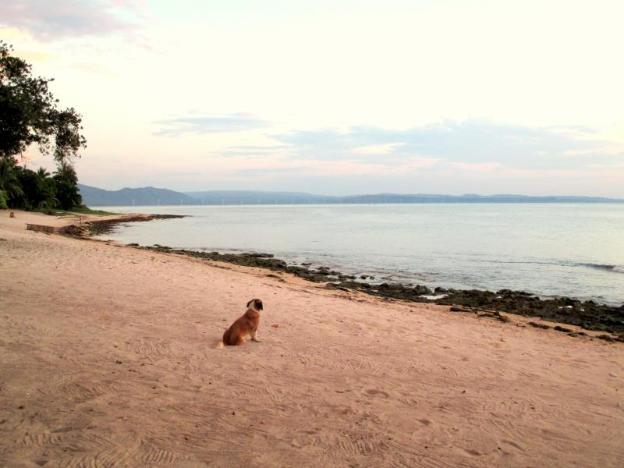 natsuca beach resort