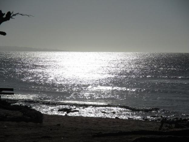 natsuca beach resort