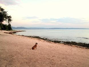 natsuca beach resort