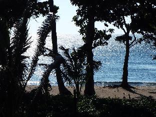 natsuca beach resort