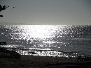 natsuca beach resort