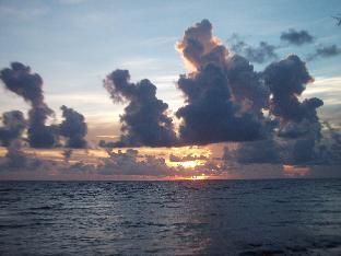 natsuca beach resort