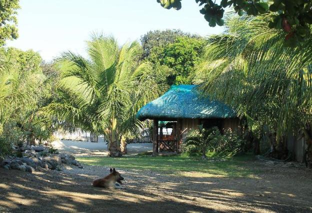 natsuca beach resort