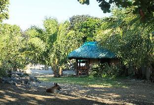 natsuca beach resort