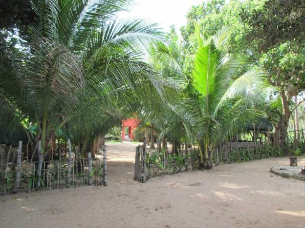 natsuca beach resort