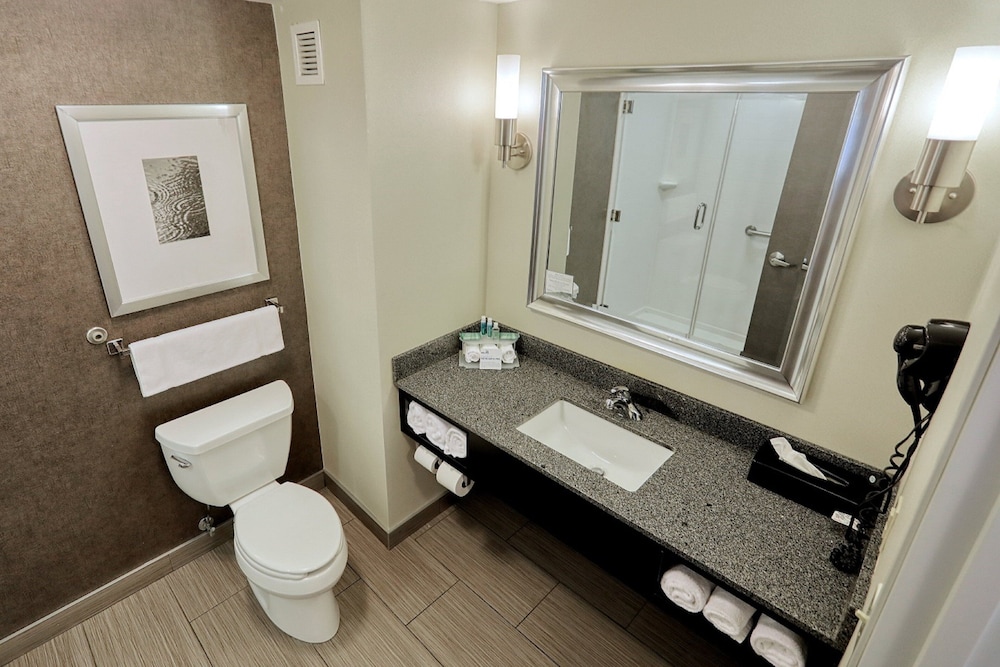 holiday inn express and suites batavia darien lake