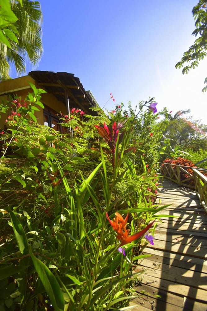 villas punta india