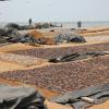 hotel 198 negombo