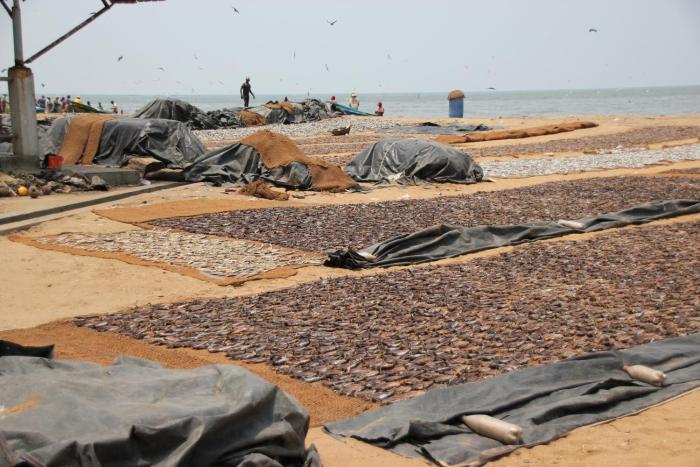 hotel 198 negombo