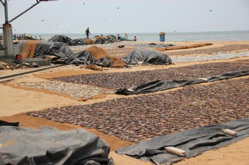 hotel 198 negombo