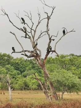 seth dev lagoon chalets kalpitiya