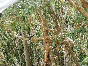 seth dev lagoon chalets kalpitiya