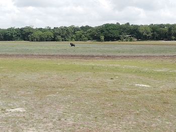 seth dev lagoon chalets kalpitiya