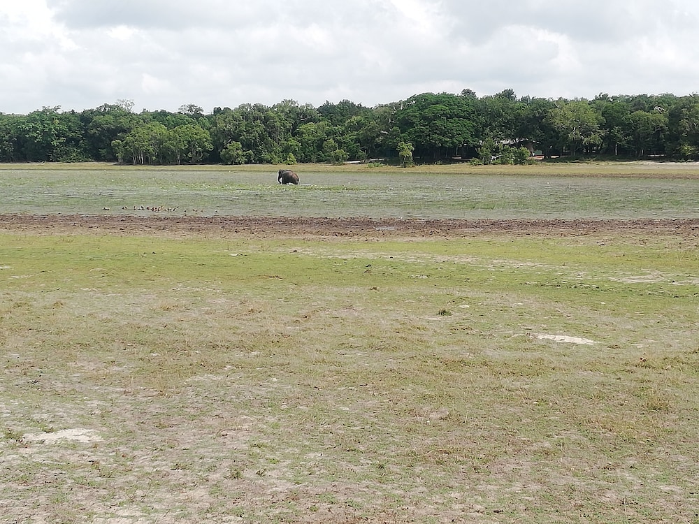 seth dev lagoon chalets kalpitiya