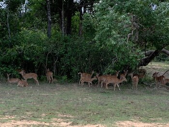seth dev lagoon chalets kalpitiya