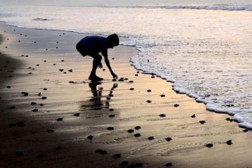 sinhagiri hotel and restaurant