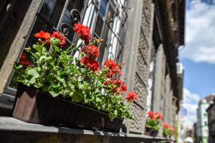 corvin point rooms and apartments