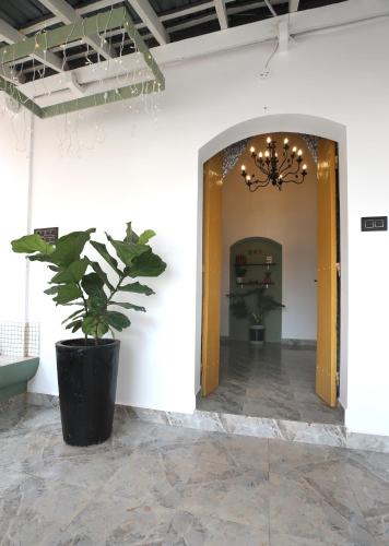 craft hostels