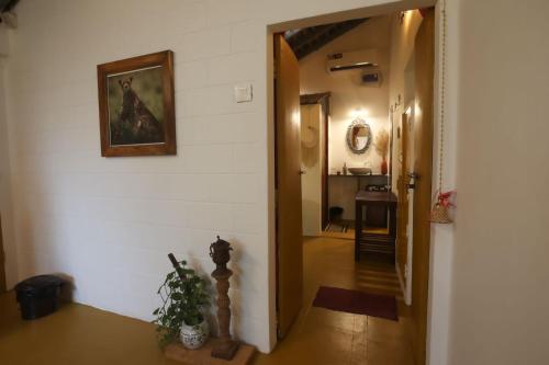 craft hostels