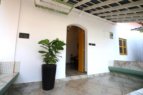 craft hostels