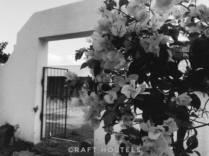 craft hostels