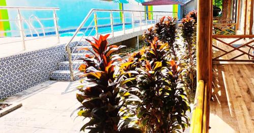 white coral beach resort