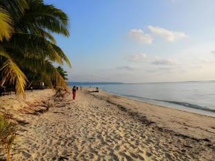 white coral beach resort