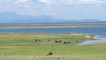 dinstar safari lodge udawalawa
