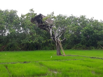 dinstar safari lodge udawalawa