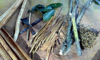 dinstar safari lodge udawalawa