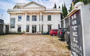 hotel alpha classica