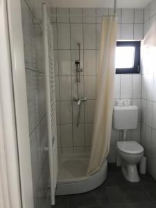 filipovic rent a car and apartments