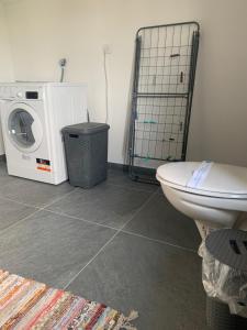 filipovic rent a car and apartments