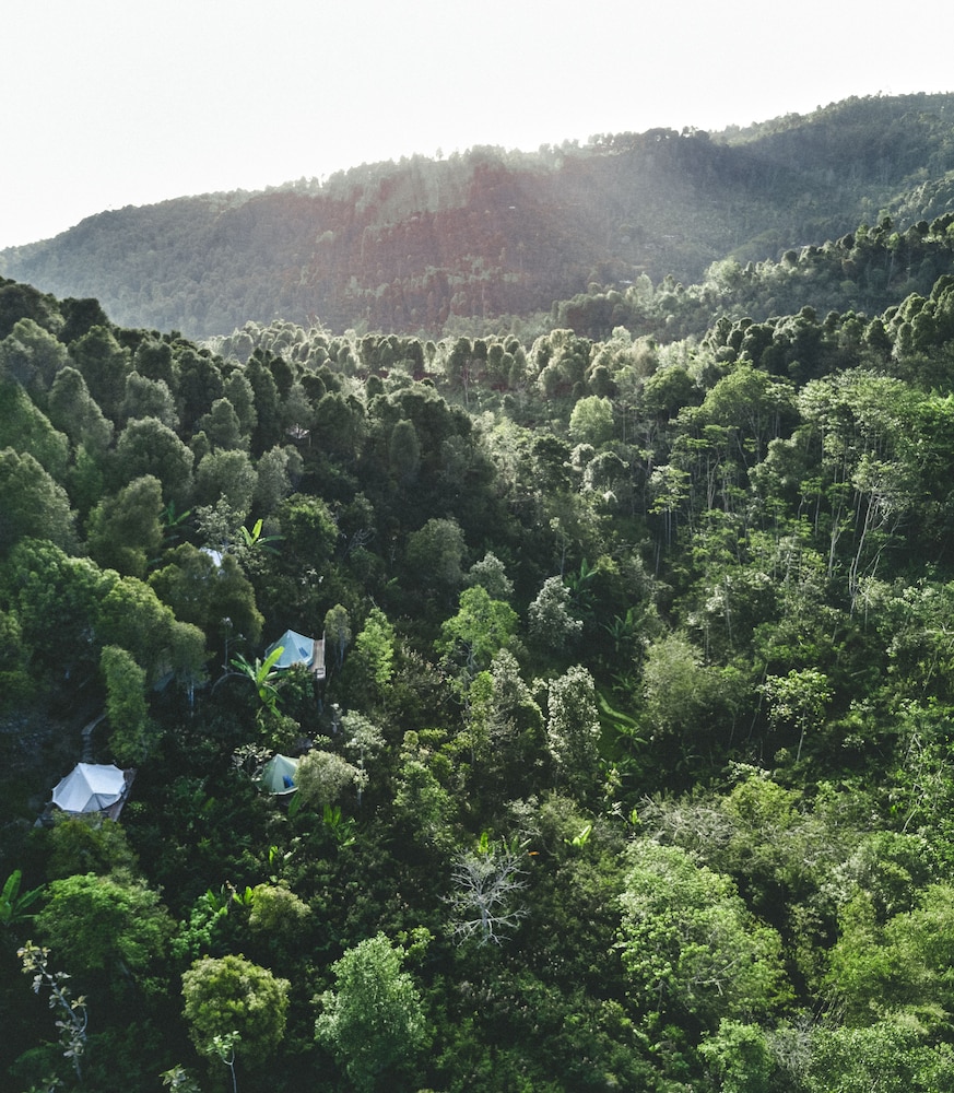 ekommunity farmstay and yoga