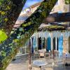 la palud sur verdon