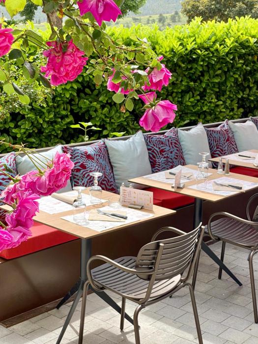 hotel le provence restaurant le styx