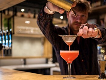 ibis gonesse le bourget