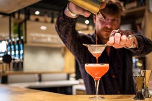 ibis gonesse le bourget