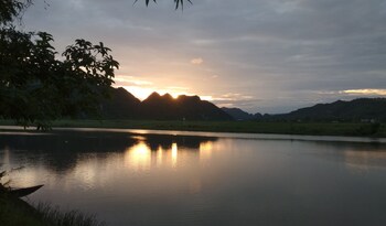 phong nha