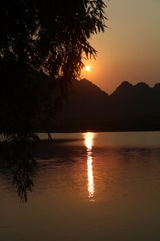 phong nha