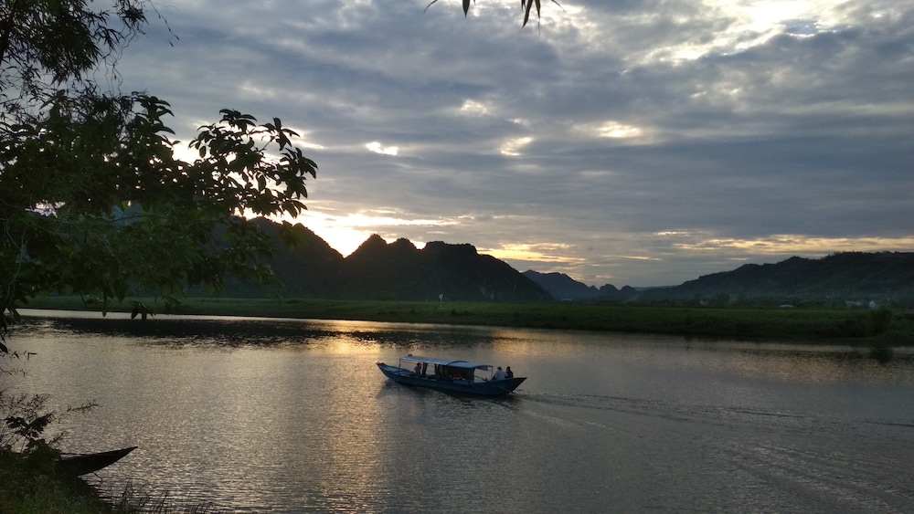 phong nha
