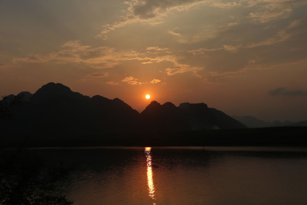 phong nha