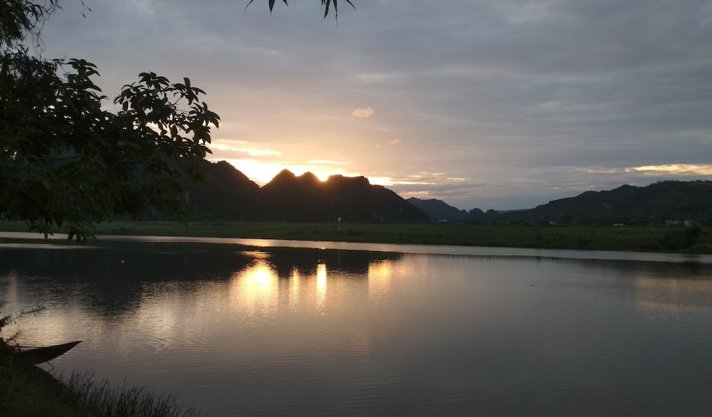 phong nha
