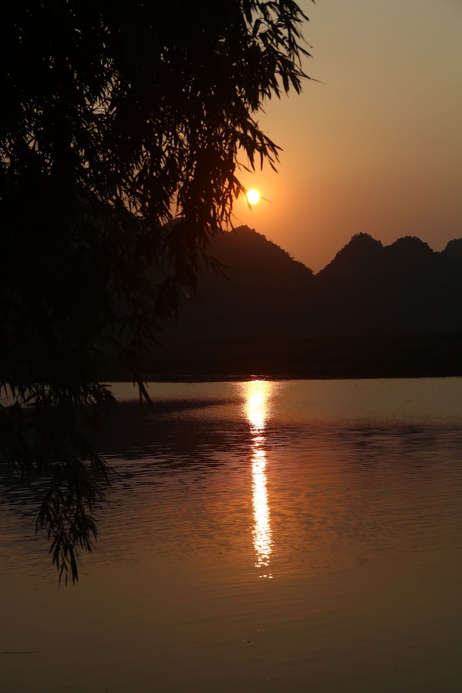 phong nha