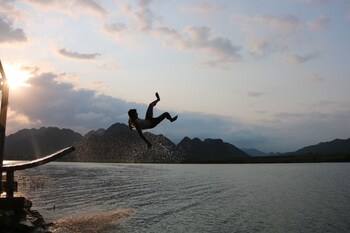 phong nha